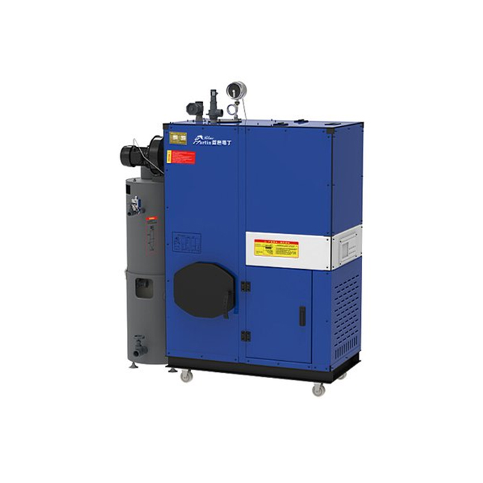 Biomass steam boiler